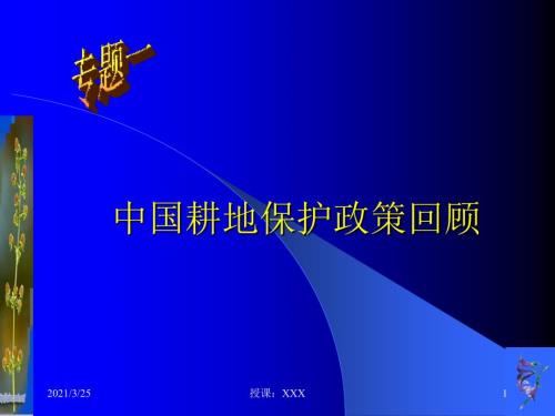 中国耕地保护政策回顾PPT课件.ppt