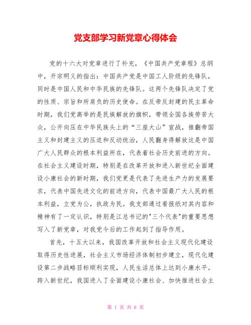 党支部学习新党章心得体会.doc