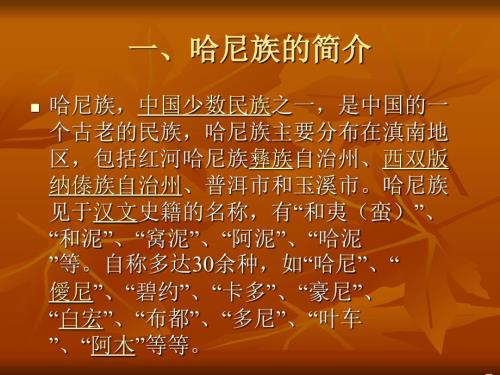 哈尼族的服饰文化PPT课件.ppt