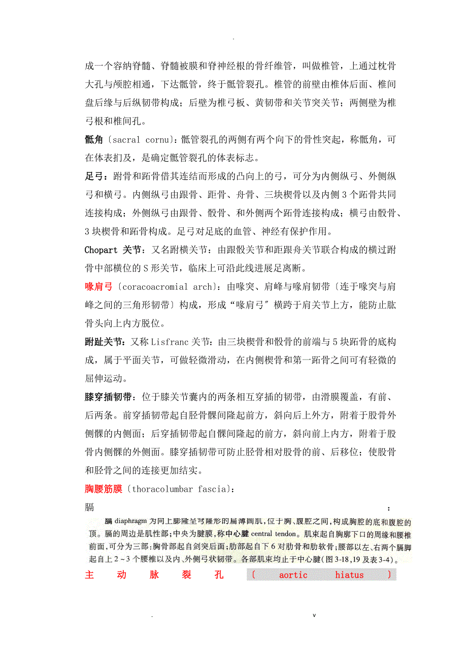 四川大学解剖学名称解释总结完结.docx_第2页