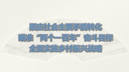 全面实施乡村振兴战略瞄准两个一百年奋斗目标.pptx