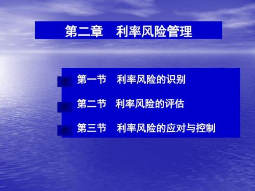 利率风险管理PPT课件.ppt