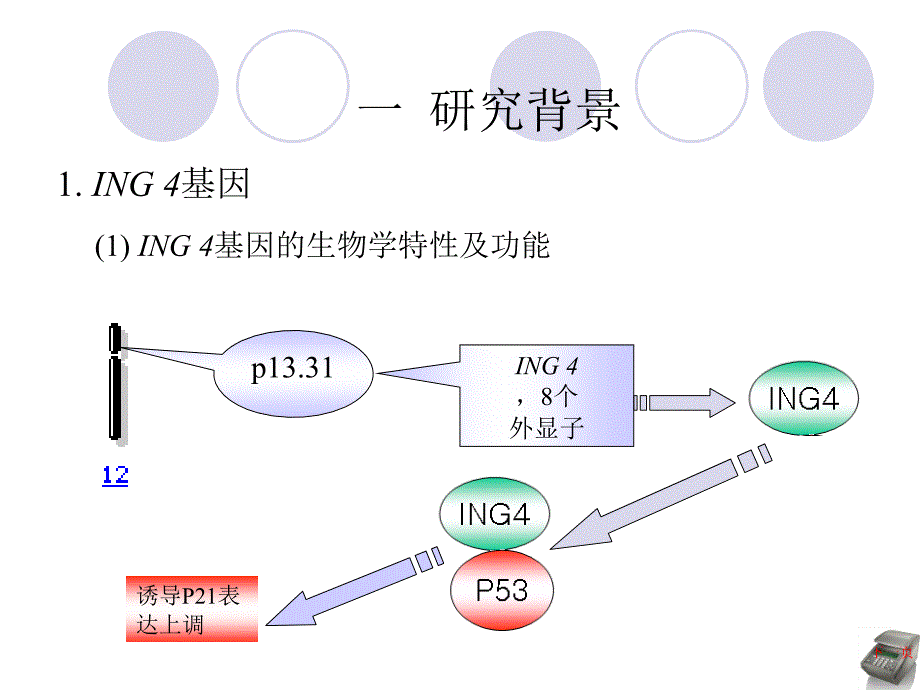 医学生毕业答辩幻灯片样板.ppt_第2页