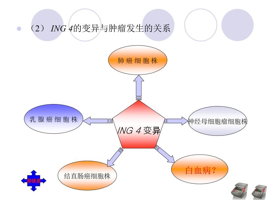 医学生毕业答辩幻灯片样板.ppt_第3页