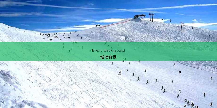 冰雪主题狂欢节活动策划方案.ppt_第3页