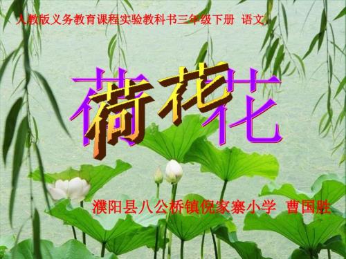 人教版小学三年级语文第三课荷花说课稿课件.ppt