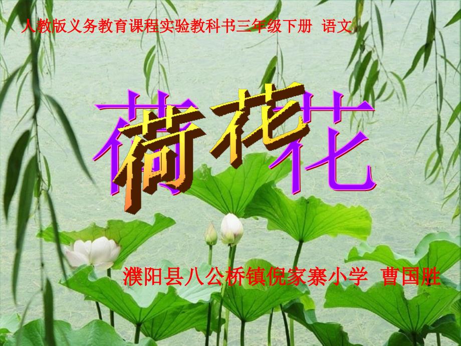 人教版小学三年级语文第三课荷花说课稿课件.ppt_第1页