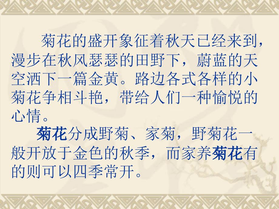 国画菊花的画法课件.ppt_第2页
