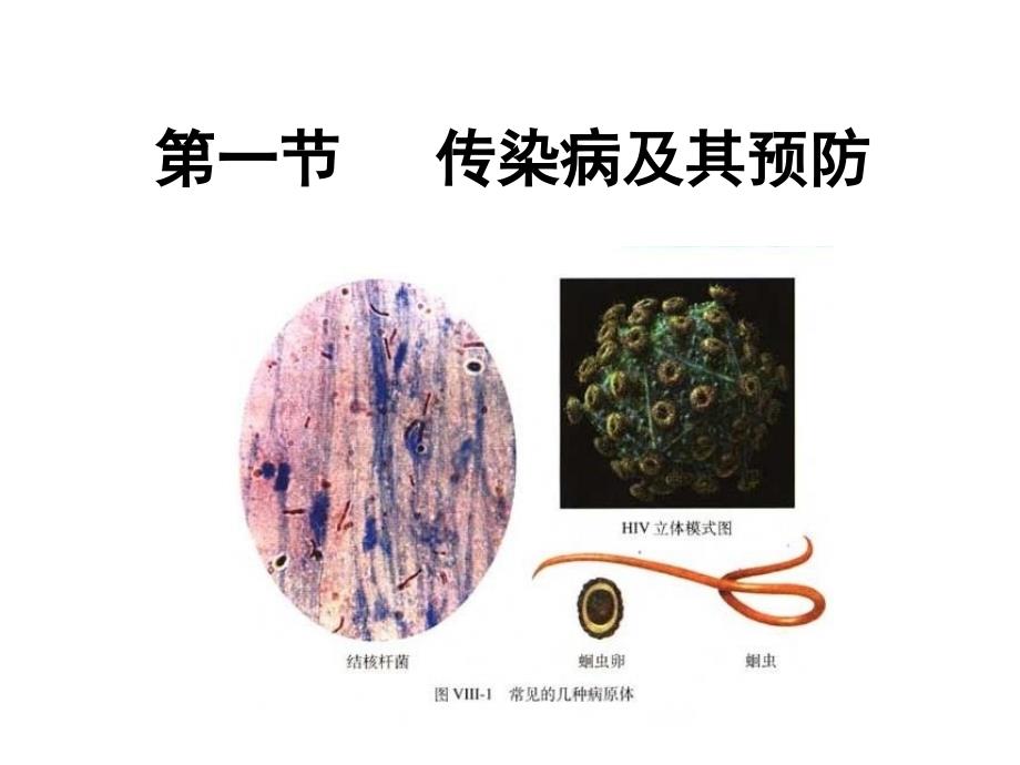 传染病及其预防PPT课件.ppt_第2页