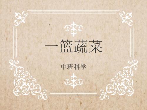 中班科学一篮蔬菜.ppt