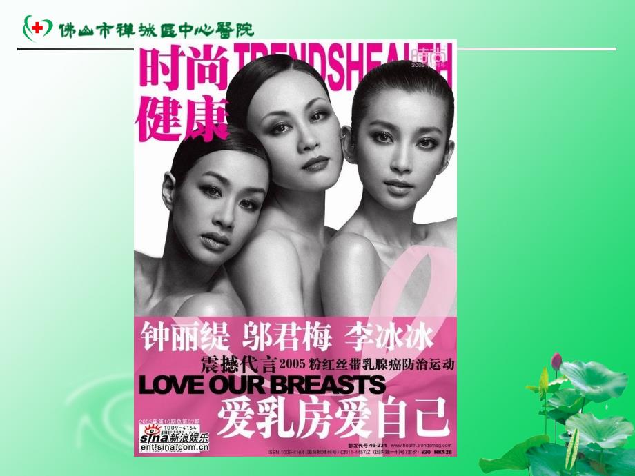 乳腺癌的防治PPT课件.ppt_第3页
