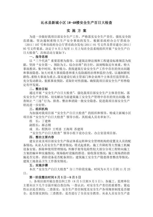 安全生产百日专项行动实施方案.doc