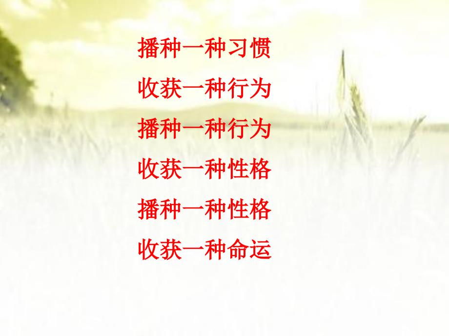 中学生日常行为规范主题班会课件.ppt_第2页