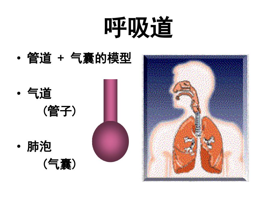 呼吸力学的监测PPT课件.ppt_第2页