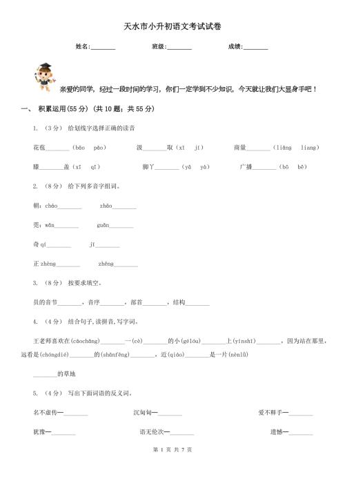 天水市小升初语文考试试卷.doc