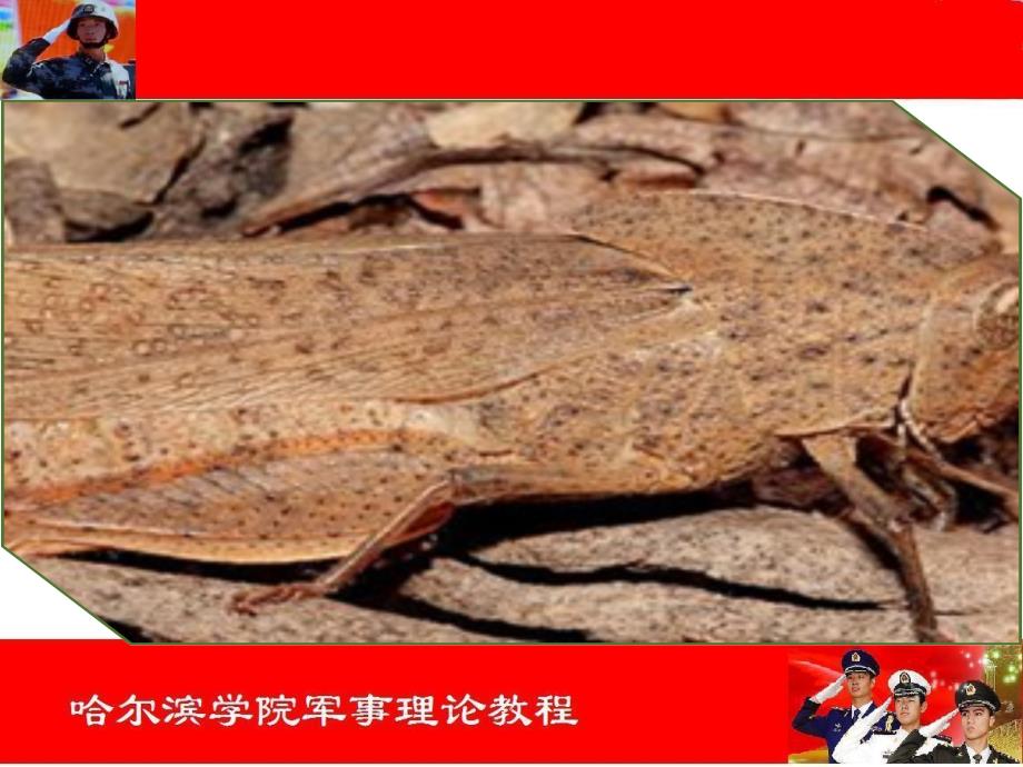 伪装与隐身技术PPT课件.ppt_第2页