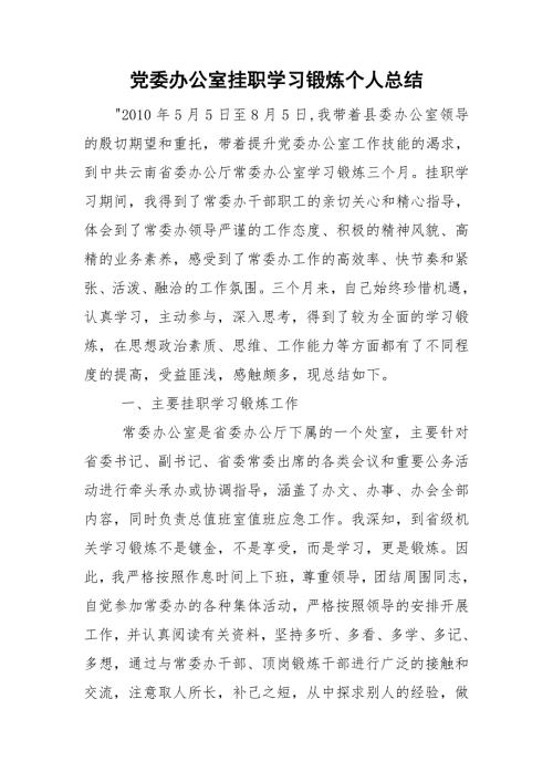 党委办公室挂职学习锻炼个人总结.doc
