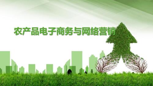 农产品电子商务与网络营销.ppt