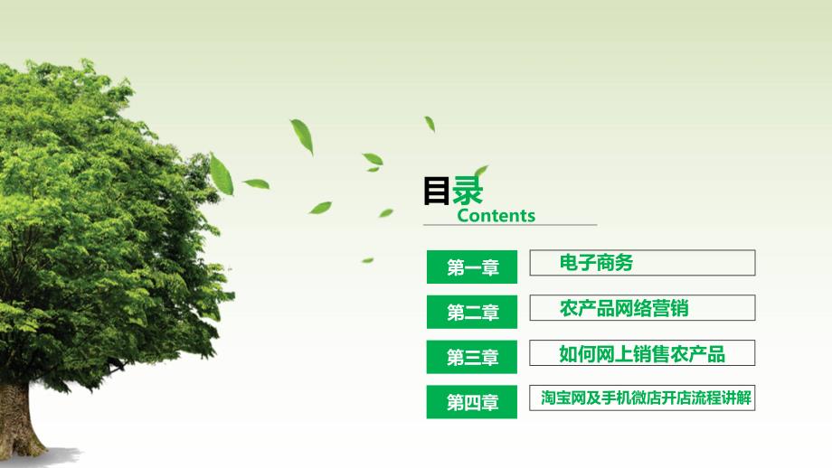 农产品电子商务与网络营销.ppt_第2页