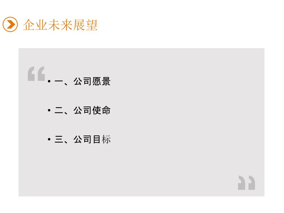 企业战略规划有限公司战略规划最新.ppt_第2页
