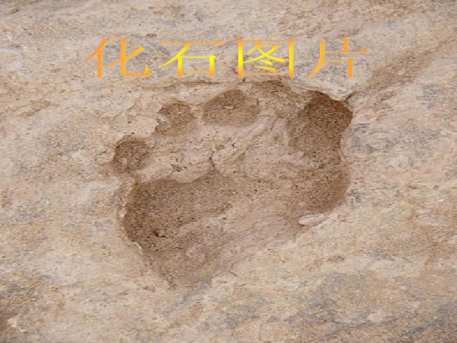 五年级上册科学课件第18课地表探秘冀教版共53张PPT.ppt_第3页