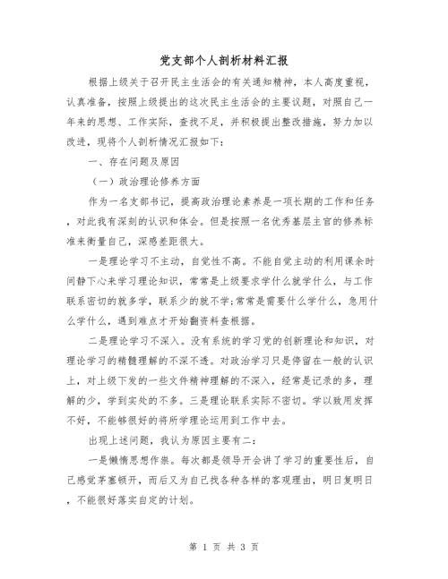 党支部个人剖析材料汇报.doc