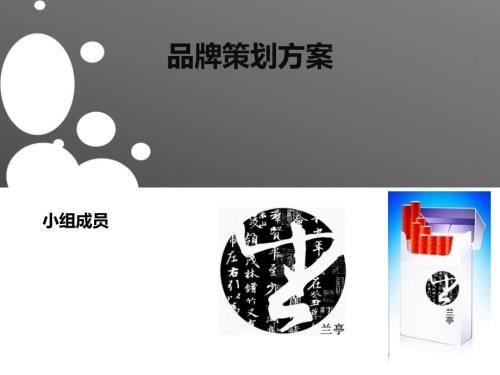 品牌策划方案PPT课件.ppt