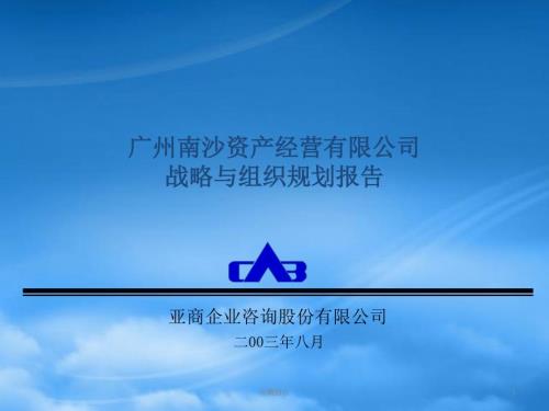 南沙资产经营公司战略与组织规划PPT151页.pptx