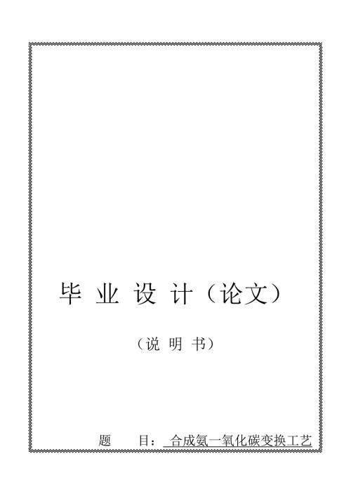 合成氨一氧化碳变换工艺.doc