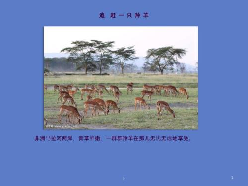 学习主动性教育主题班会ppt课件.ppt