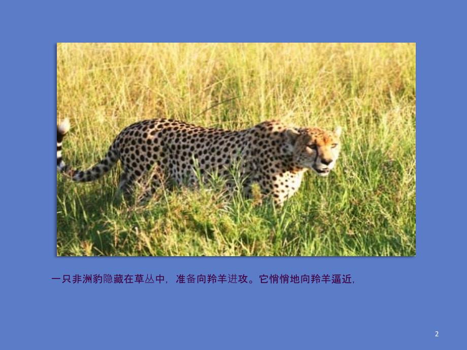 学习主动性教育主题班会ppt课件.ppt_第2页