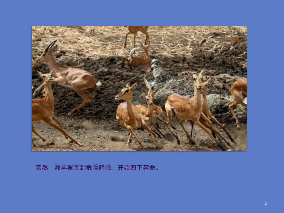 学习主动性教育主题班会ppt课件.ppt_第3页