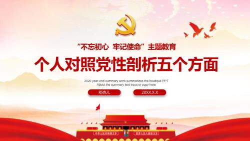 个人对照党性剖析五个方面.pptx