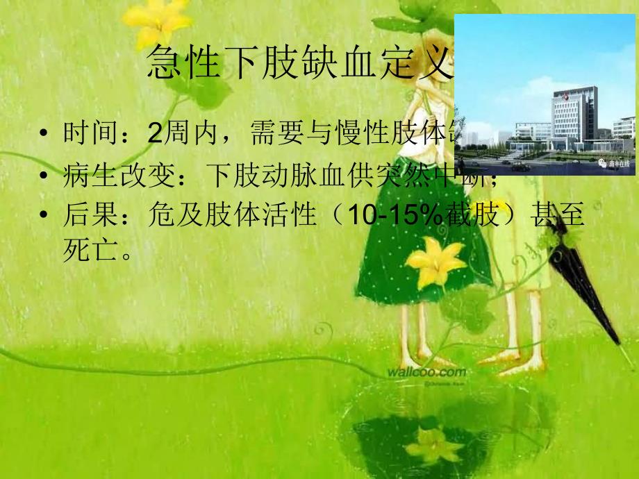 下肢动脉急性缺血PPT.ppt_第3页