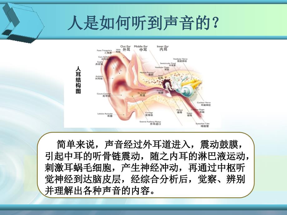 儿童耳及听力保健培训ppt课件.ppt_第2页