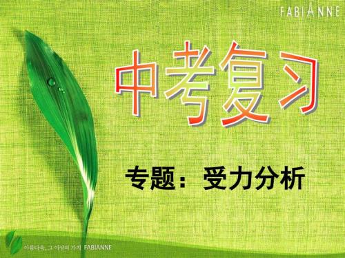 初中物理受力分析专题.ppt
