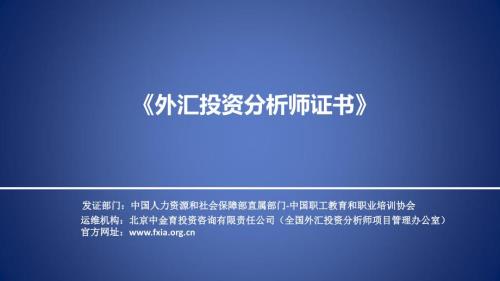 外汇投资分析师PPT课件.ppt