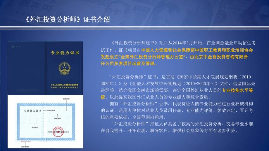 外汇投资分析师PPT课件.ppt_第3页