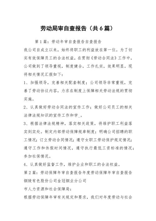 劳动局审自查报告共6篇.docx