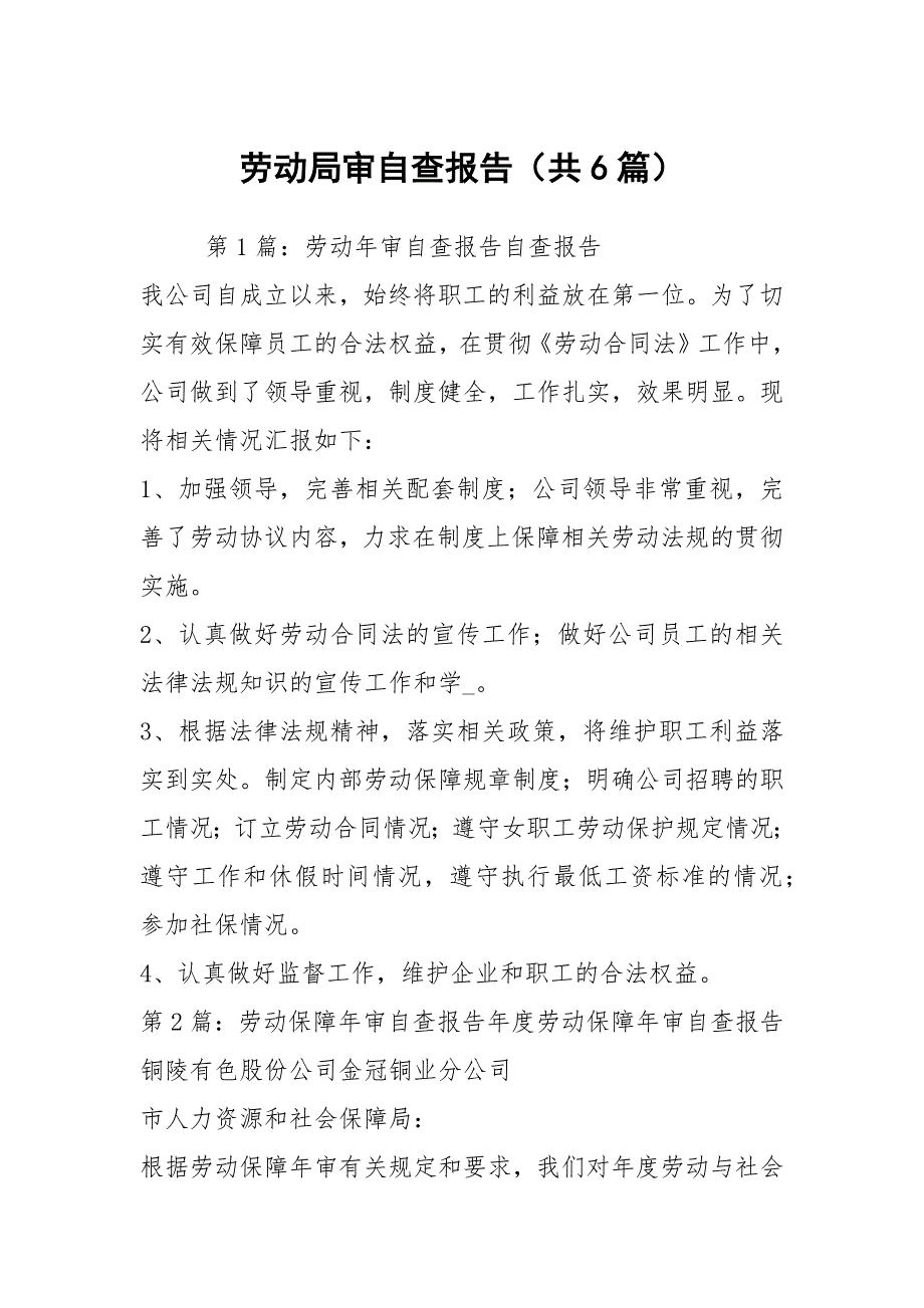 劳动局审自查报告共6篇.docx_第1页