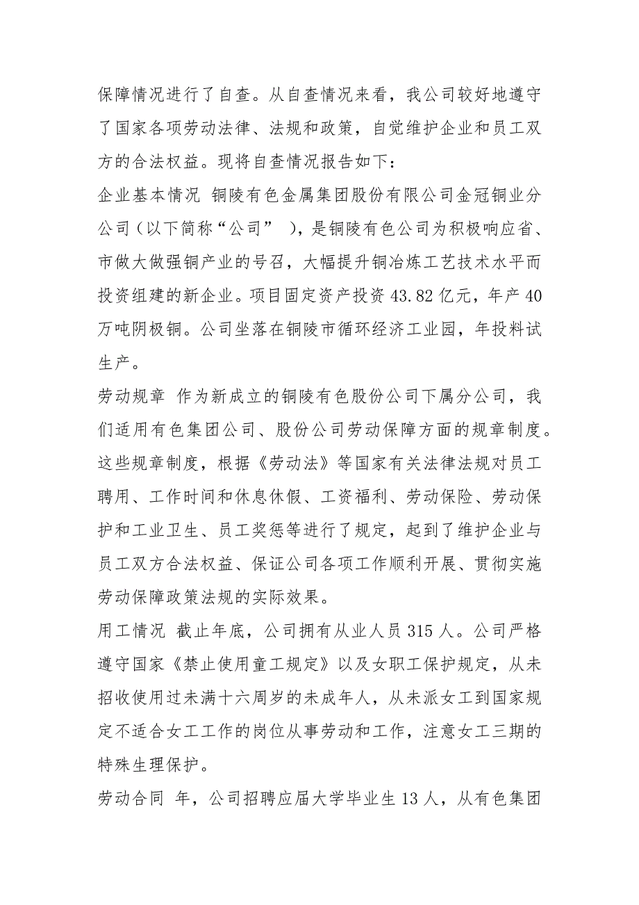 劳动局审自查报告共6篇.docx_第2页