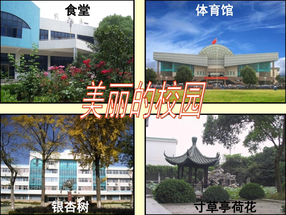 创建德育特色学校汇报ppt.ppt_第3页