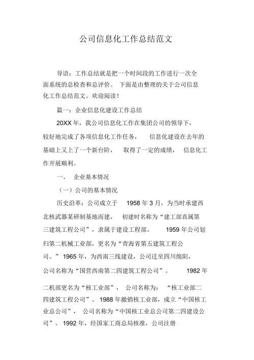 公司信息化工作总结范文.doc