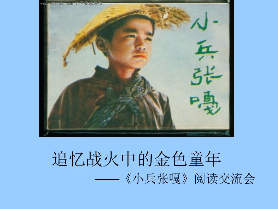 小兵张嘎整本书阅读指导课件.ppt_第1页