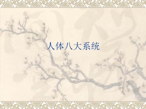 人体八大系统课件.ppt