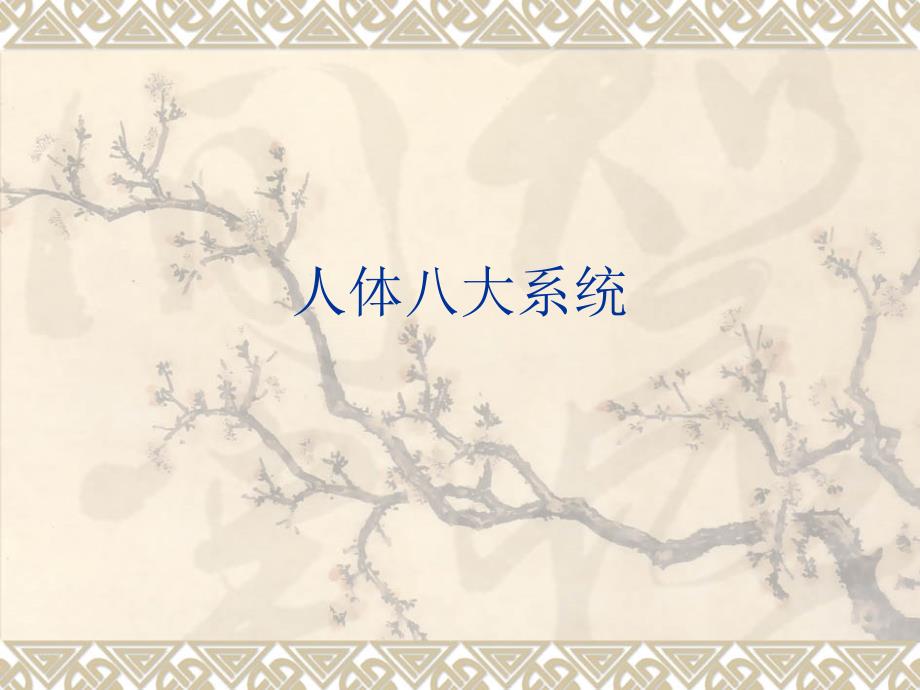 人体八大系统课件.ppt_第1页