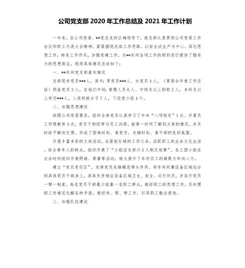 公司党支部2020年工作总结及2021年工作计划.docx