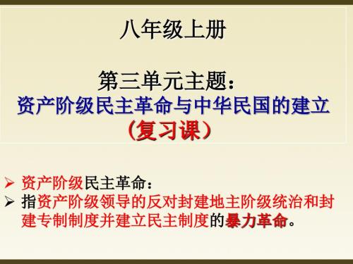 复习课资产阶级民主革命与中华民国的建立.ppt