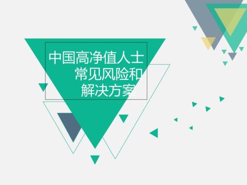 中国高净值人士常见风险和解决方案ppt课件.ppt