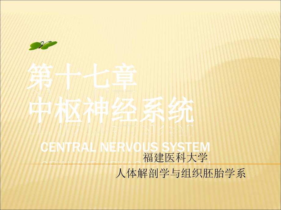 中枢神经系统系统解剖学.ppt_第1页